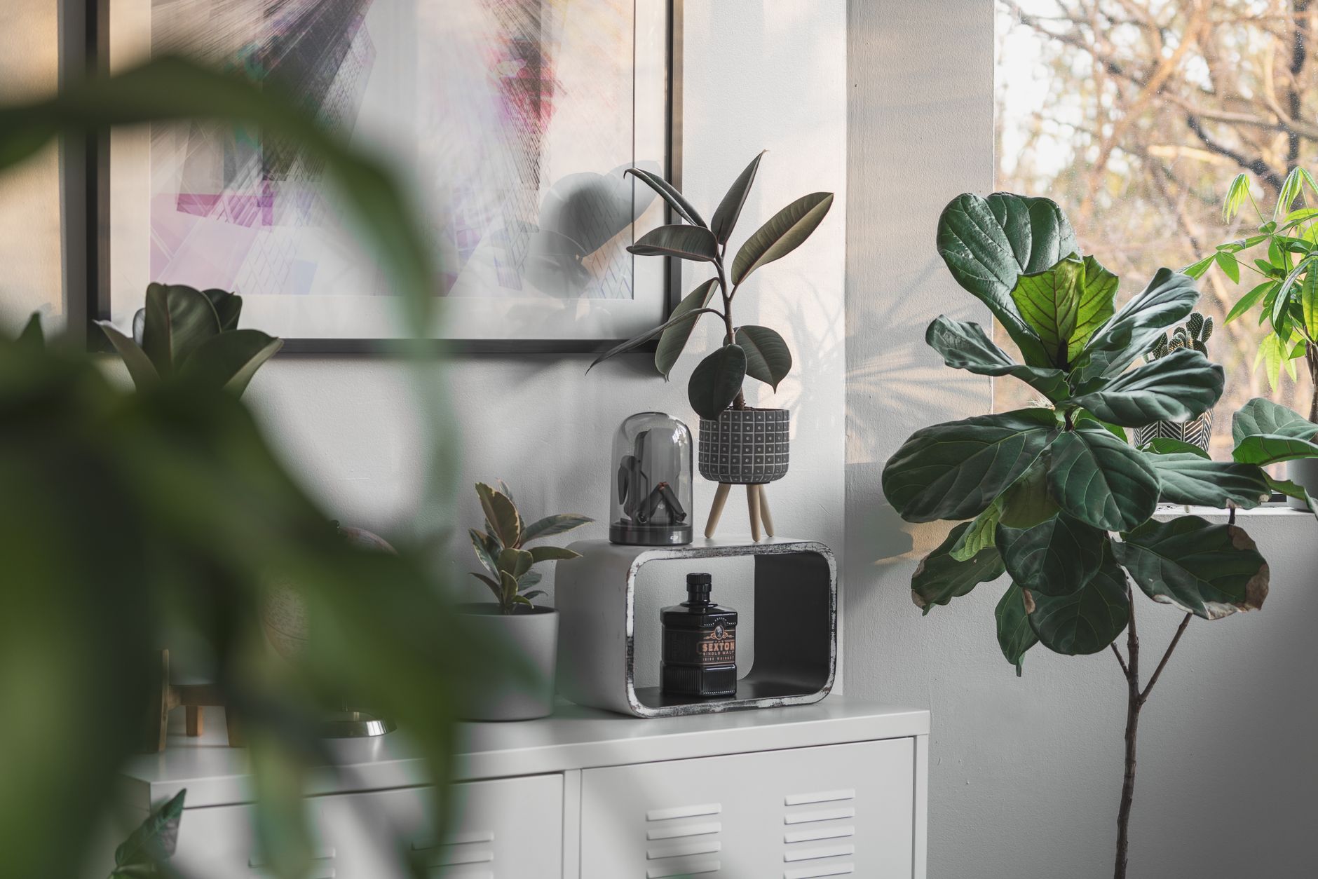 Eco-friendly Decor For Your House